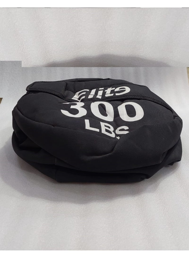 Elite Strongman sandbag 300 LB Elite - Image 3